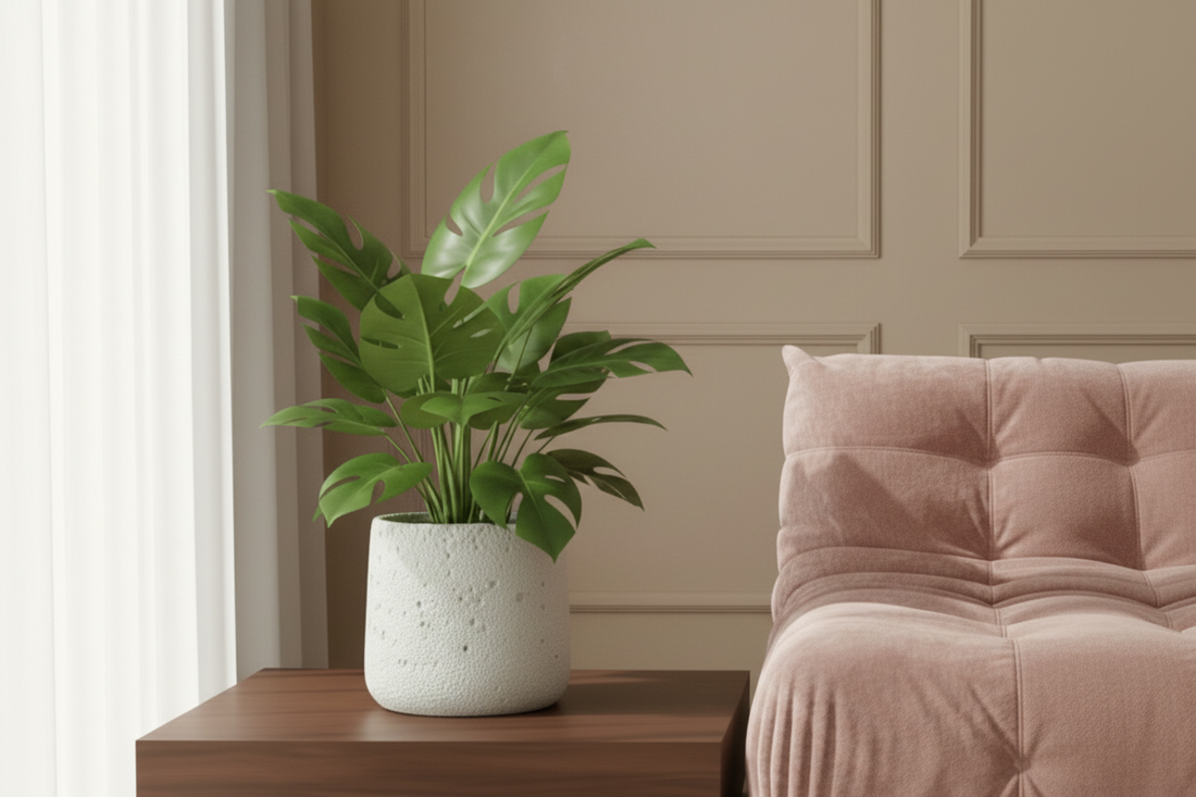 Cache pot monstera pour illustrer l’article
