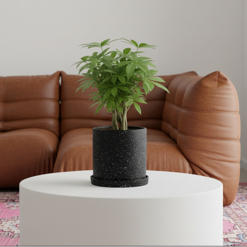 Comment améliorer le drainage d’un pot de fleurs ?