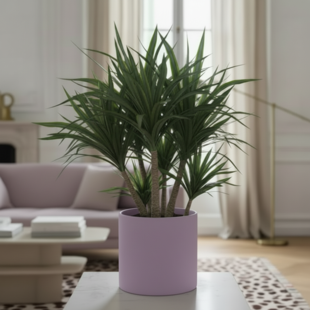 Photo de présentation du cache pot dracaena en ceramique Lila. Le pot est posé sur un presentoir en marbre dans un salon hausamanien.