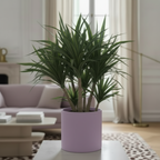 Photo de présentation du cache pot dracaena en ceramique Lila. Le pot est posé sur un presentoir en marbre dans un salon hausamanien.