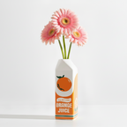 Vase bouteille de jus d'orange sur fond blanc avec des marguerites et une légère ombre