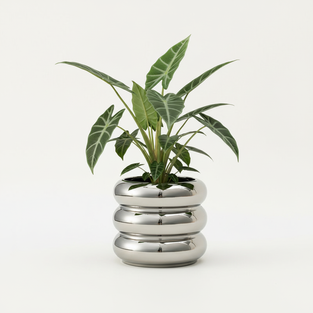 Photo de présentation du cache pot en ceramique alocasia argent miroir sur fond blanc