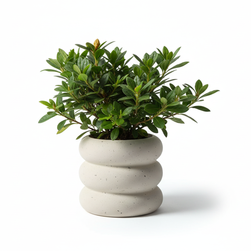 Photo de presentation du cache pot en ceramique azalee beige sur fond blanc