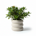 Photo de presentation du cache pot en ceramique azalee beige sur fond blanc