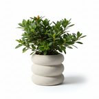 Photo de presentation du cache pot en ceramique azalee beige sur fond blanc