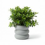 Photo de presentation du cache pot en ceramique azalee gris sur fond blanc