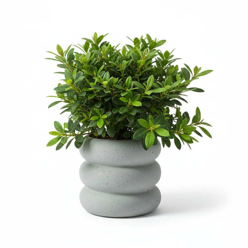 Photo de presentation du cache pot en ceramique azalee gris sur fond blanc