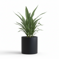 Photo de presentation du cache pot en ceramique dracaena noir. Le cache pot est devant un fond blanc.