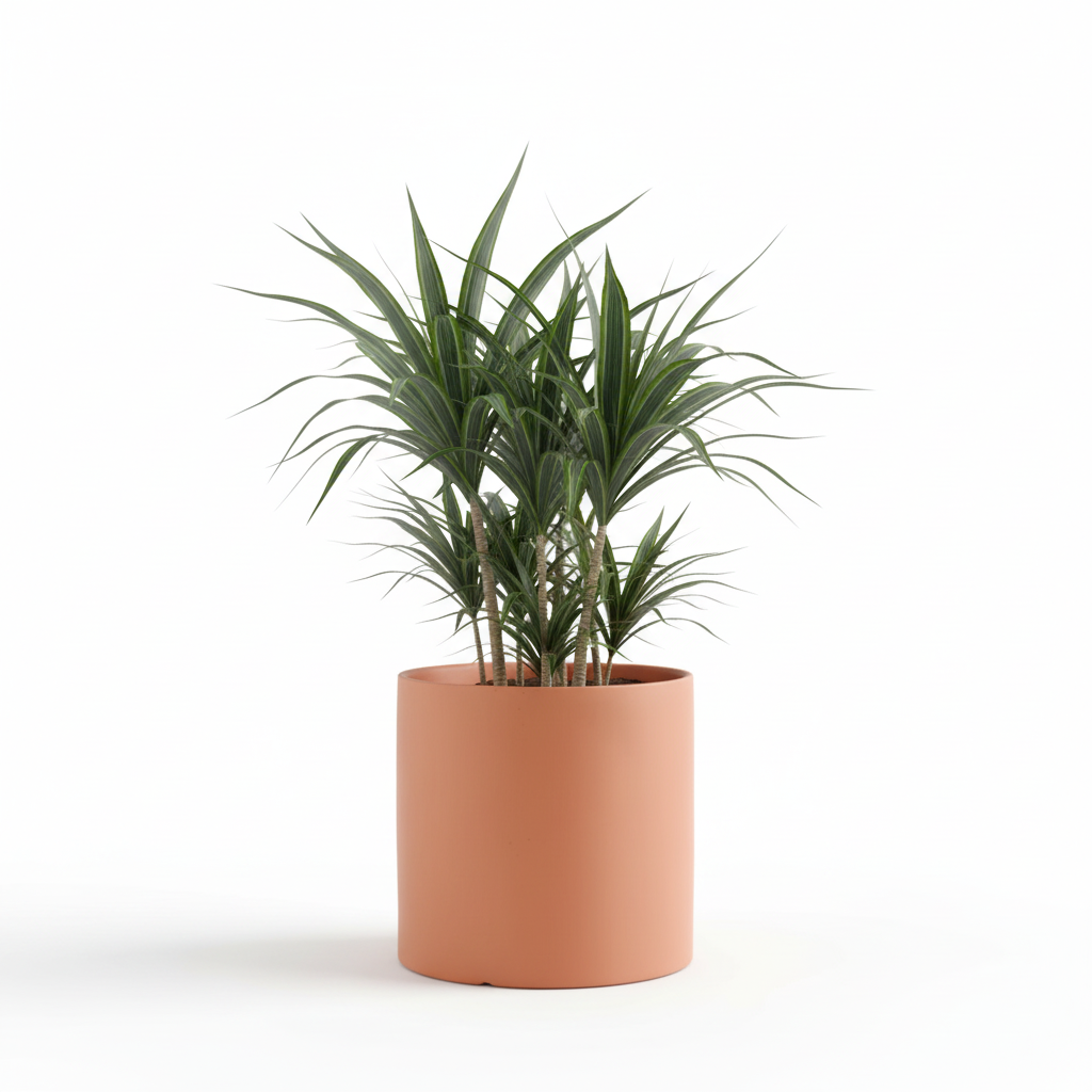 Photo de presentation du cache pot en ceramique dracaena terracota. Le cache pot est devant un fond blanc.