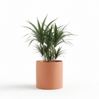 Photo de presentation du cache pot en ceramique dracaena terracota. Le cache pot est devant un fond blanc.