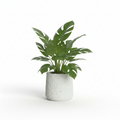 Photo de presentation sur fond blanc du cache pot en ciment monstera beige