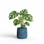 Photo de presentation sur fond blanc du cache pot en ciment monstera bleu fonce