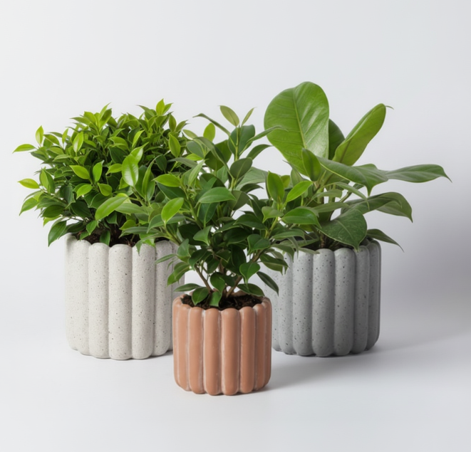 Photo de presentation sur fond blanc des caches pots fichus en ceramique beige, gris et terracota.