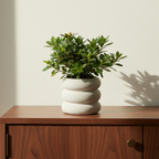 Photo de presentation du cache pot en ceramique azalee sur un meuble en noyer